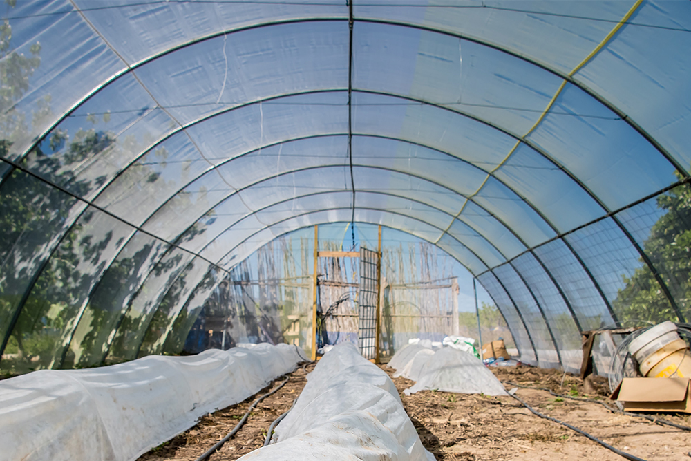 rebar-arcs_and_frames_greenhouses
